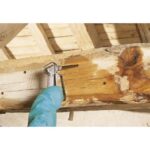 Traitement poutres et charpentes TX202